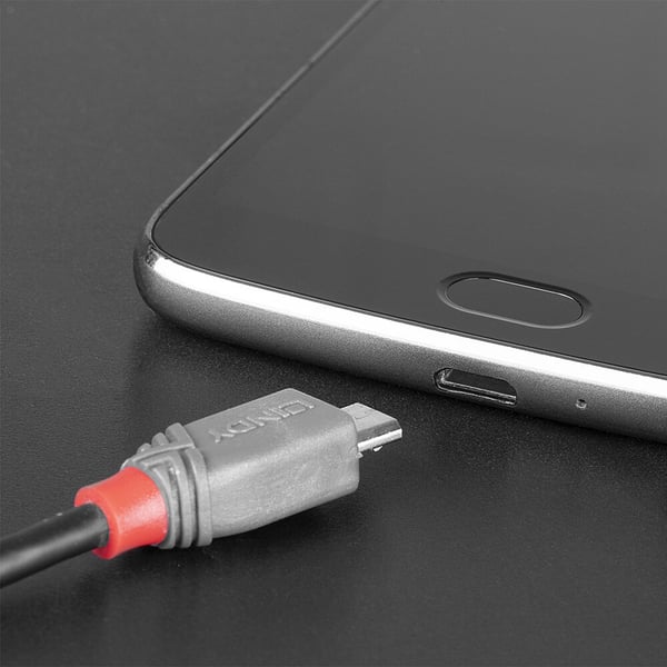 Lindy 36892 USB-kabel USB 2.0 2 m USB C Micro-USB B 0,48 Gbit/sek. Sort, Grå