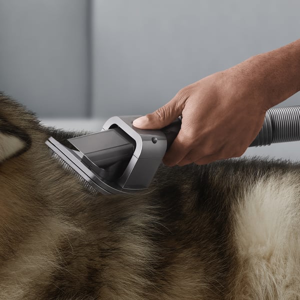 Dyson 972205-01 støvsuger tilbehør & forsyning Tilbehørssæt Håndstøvsuger