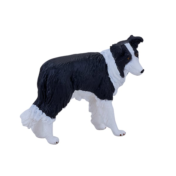 Mojo Fun Border Collie