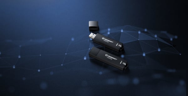 Kingston Technology IronKey D500S USB-sticka 128 GB USB Type-A 3.2 Gen 1 (3.1 Gen 1) Svart