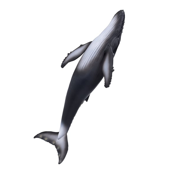 Mojo Fun Humpback Whale