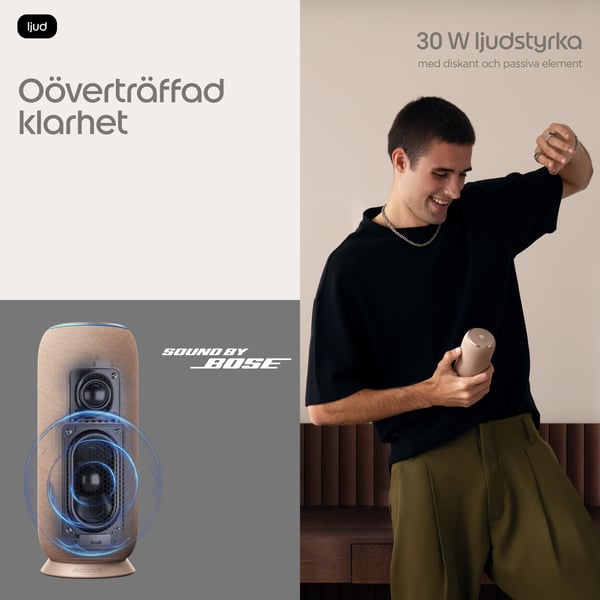 Motorola moto sound flow Bärbar monohögtalare Mullvadsgrå 30 W