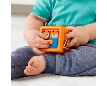 Fisher-Price GJW13 utbildningsleksaker