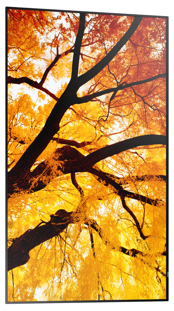 Sharp MultiSync M552 Digital fladpaneldisplay 139,7 cm (55") LCD 550 cd/m² 4K Ultra HD Sort Berøringsskærm