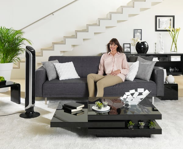 Rowenta Eole VU6620 Svart, Silver
