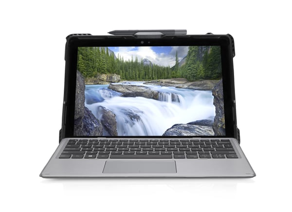 DELL RG1220C 31,2 cm (12.3") Kofanger Sort
