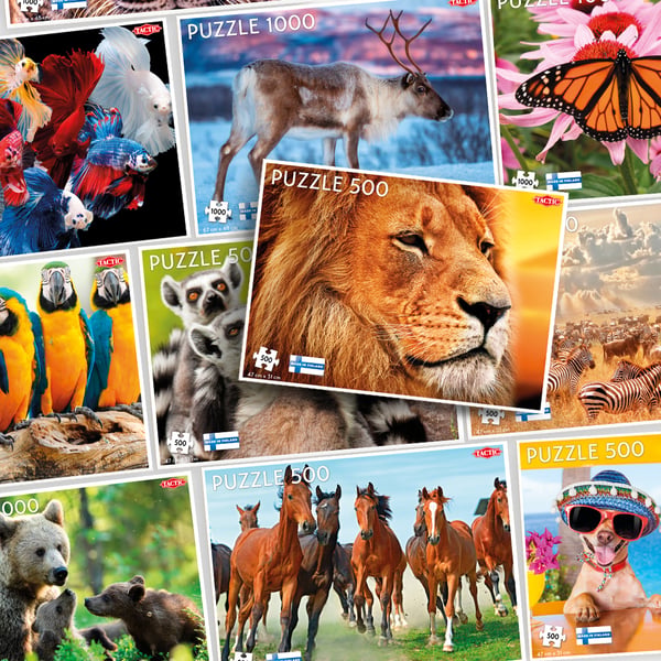 Tactic African Lion 500 pcs Pussel 500 styck Djur