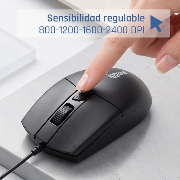 iggual COM-BUSINESS2-2400DPI mus Hjem Ambidextrous USB Type-A Optisk