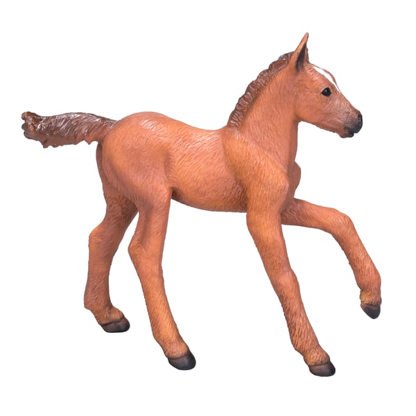 Mojo Fun Arabian Foal Chestnut