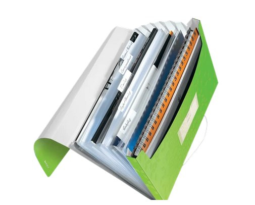 Leitz WOW Projektmapp PP