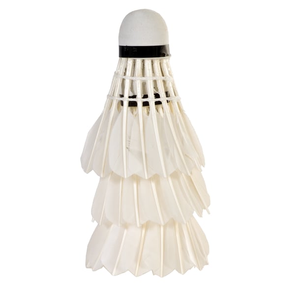 SportX 2004249 badminton ketsjer Gåsefjer Hvid