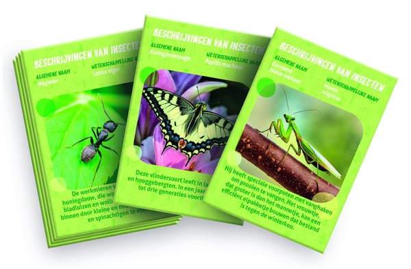 Clementoni 56599 vetenskapslåda och -leksak för barn