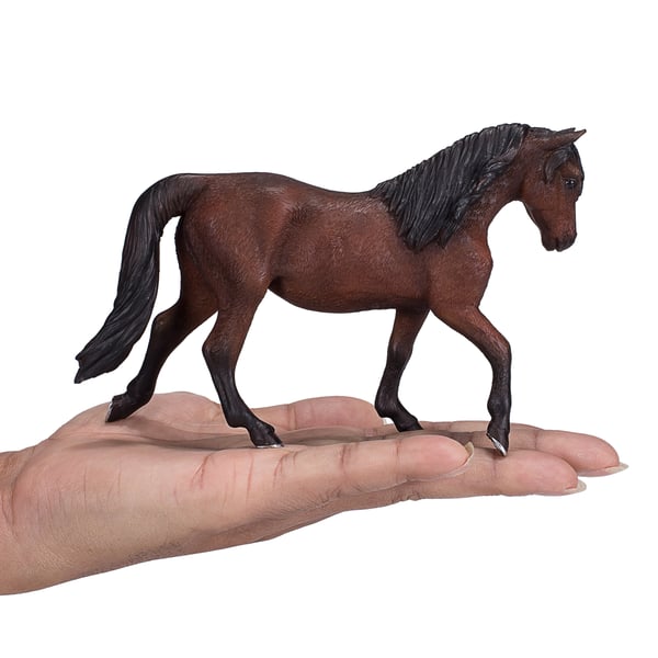 Mojo Fun Morgan Stallion Bay