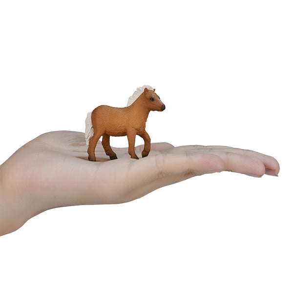 Mojo Fun Shetland Pony Foal