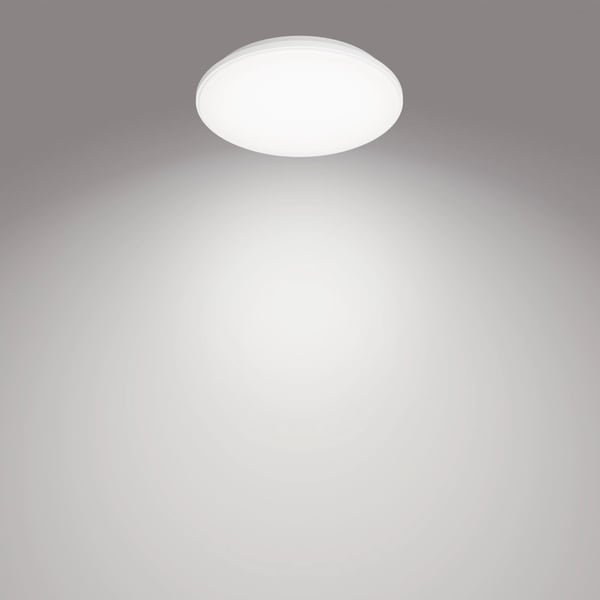 Philips Funktionel Wincel loftslampe, 40 W