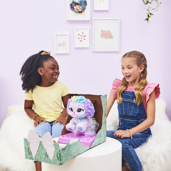 Present Pets GFT PresentPets RainbowFairy BP GML
