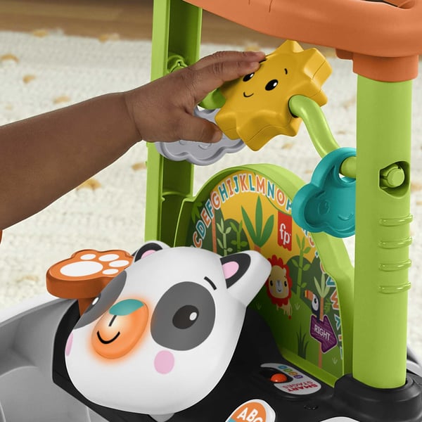 Fisher-Price 2-Sided Steady Speed Panda Walker
