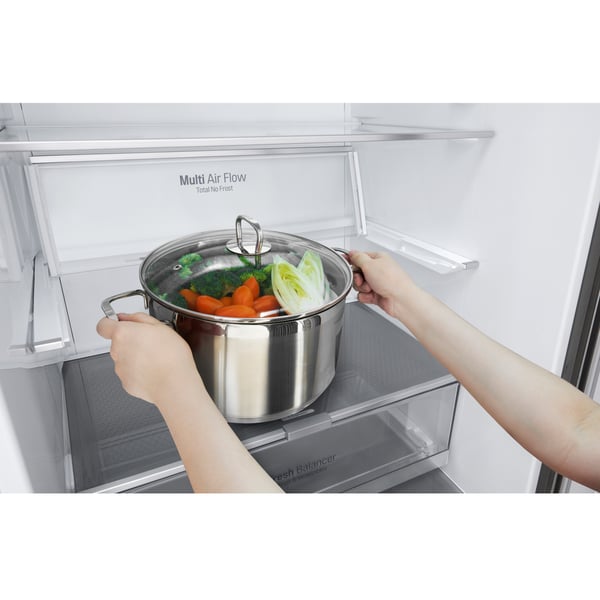 LG GBB567PZCMB Vapaasti seisova 462 L Ruostumaton teräs