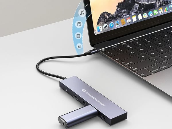 Conceptronic HUBBIES14G gränssnittshubbar USB 3.2 Gen 2 (3.1 Gen 2) Type-C 10000 Mbit/s Grå