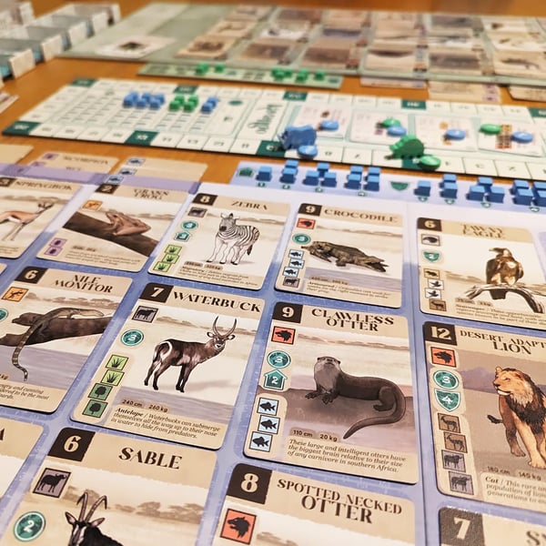 Asmodee Kavango Lautapeli