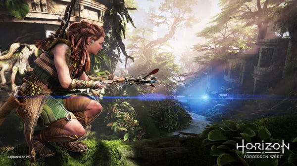 Sony Interactive Entertainment Horizon Forbidden West