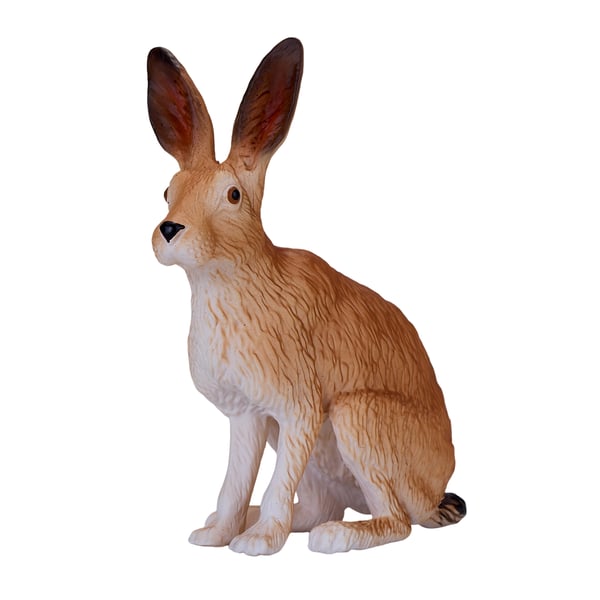 Mojo Fun Hare