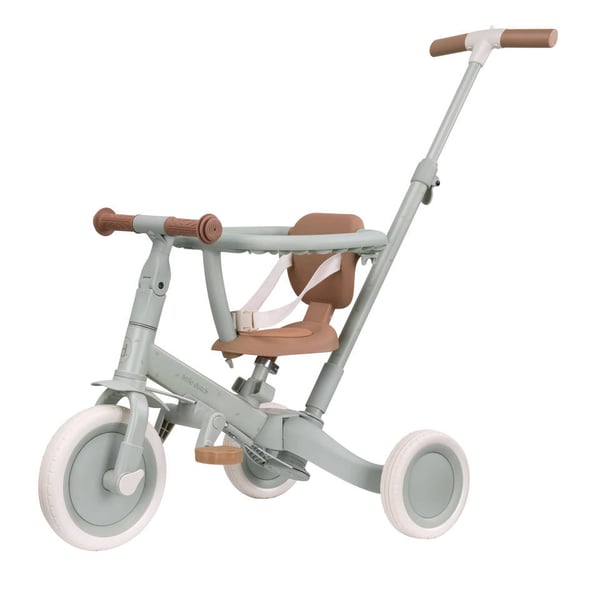 Little Dutch LD6080 trehjulet cykel Børn Forside drev Stående