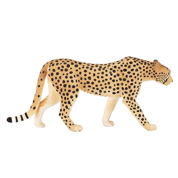 Mojo Fun Cheetah Male