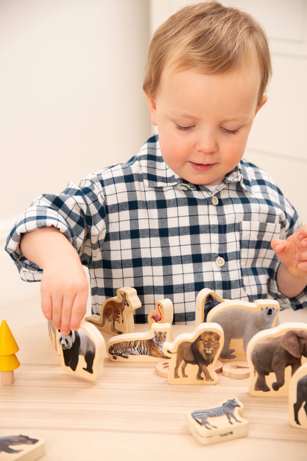 Tickit Wooden Wild Animal Blocks