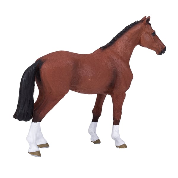 Mojo Fun Dutch Warmblood (Portugal)