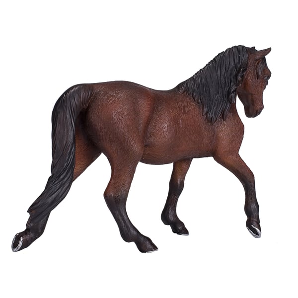 Mojo Fun Morgan Stallion Bay