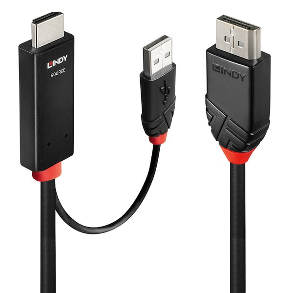 Lindy 41499 videokabeladapter 2 m HDMI + USB Type-A DisplayPort Svart