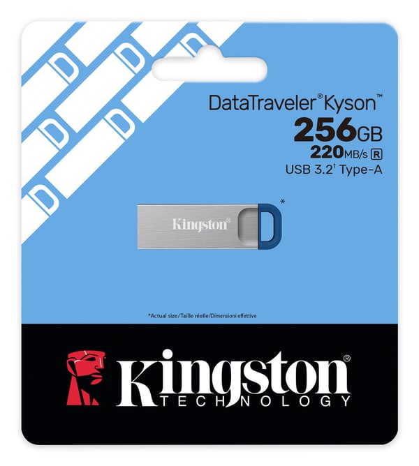 Kingston Technology DataTraveler Kyson USB-sticka 256 GB USB Type-A 3.2 Gen 1 (3.1 Gen 1) Rostfritt stål