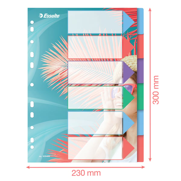 Esselte Colour'Breeze A4-register 6 faner, PP