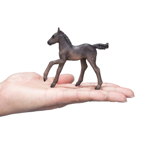 Mojo Fun Arabian Foal Black