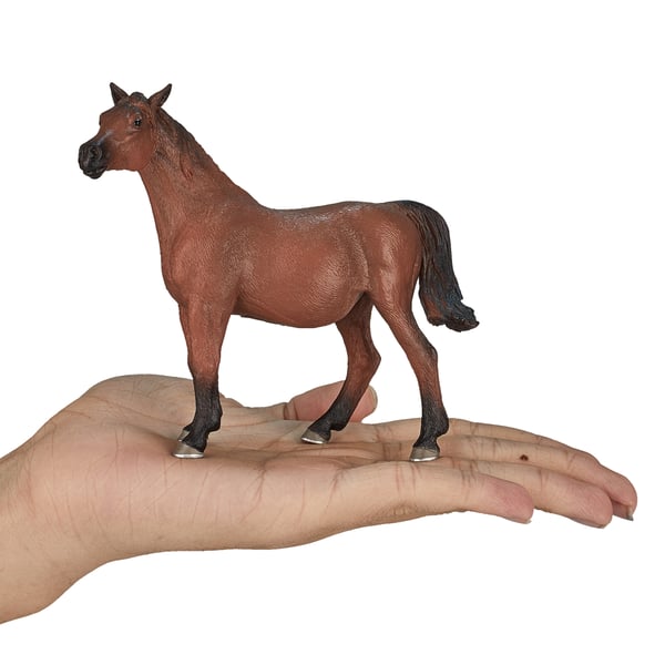 Mojo Fun Arabian Mare in Foal