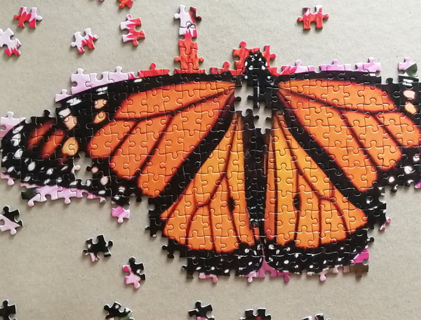 Tactic Monarch Butterfly 1000 pcs Kuviopalapeli 1000 kpl Eläimet