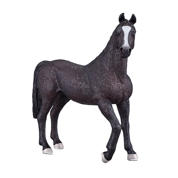 Mojo Fun Arabian Stallion Black