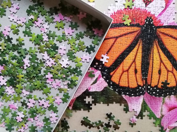 Tactic Monarch Butterfly 1000 pcs Kuviopalapeli 1000 kpl Eläimet