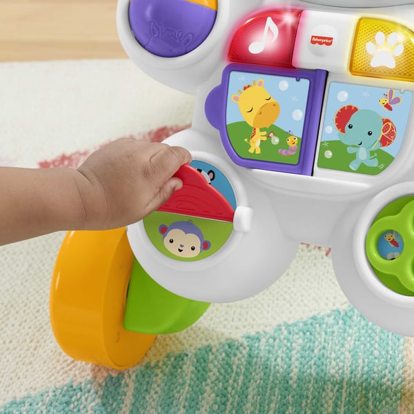 Fisher-Price Learn with Me Zebra Walker