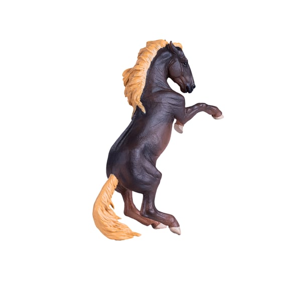 Mojo Fun Brumby Stallion