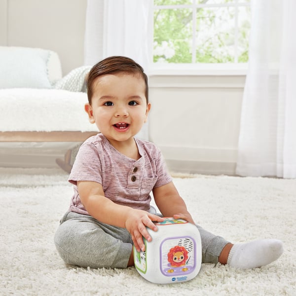 VTech Baby Dierenvriendjes Muziekkubus