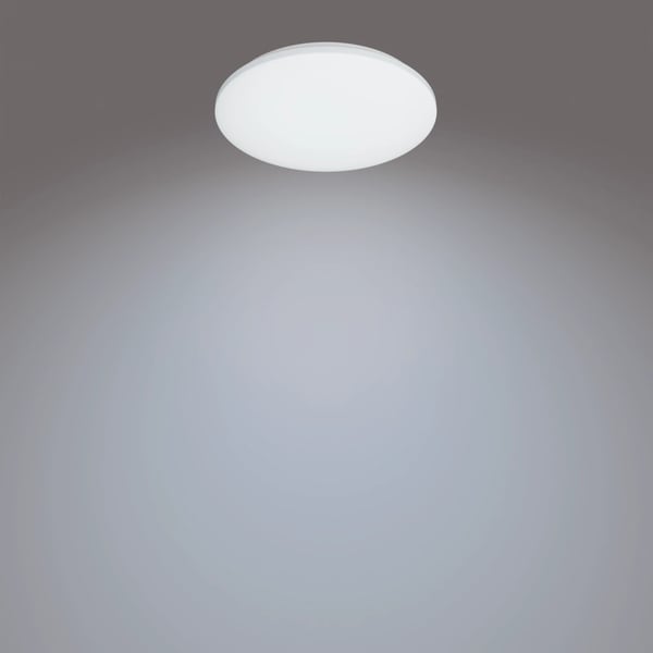Philips Funktionel Izso loftslampe, 40 W