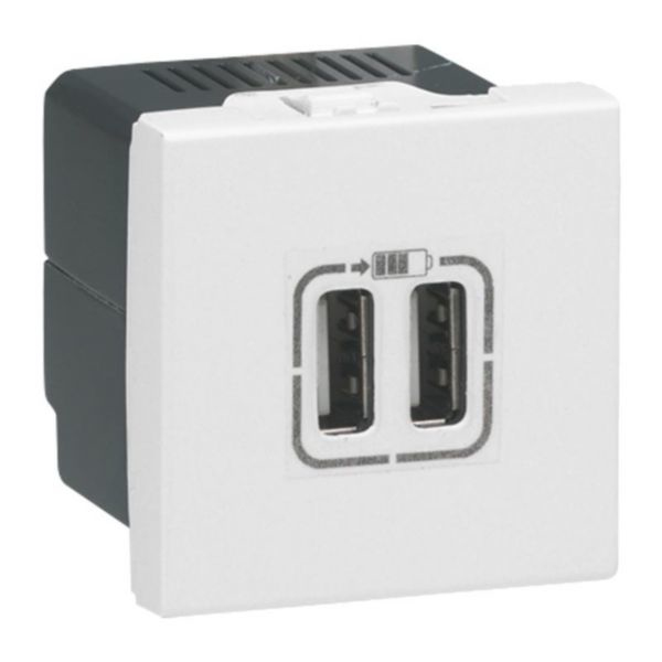 Legrand 077594 eluttag