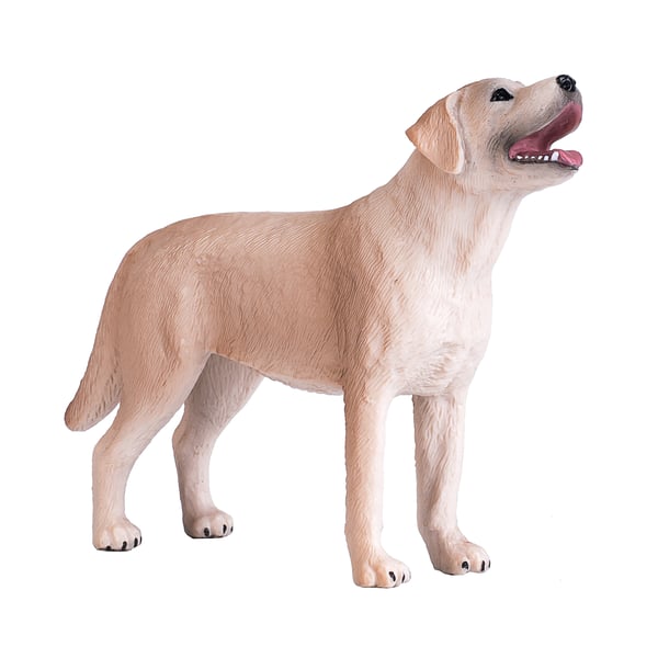 Mojo Fun Labrador