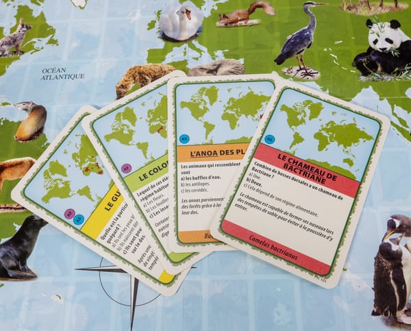 Tactic Animals of the World card game