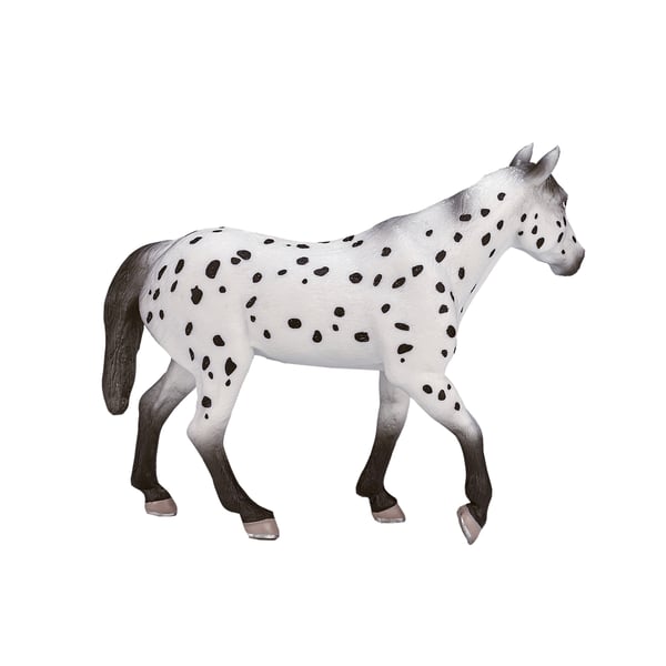 Mojo Fun Appaloosa Stallion