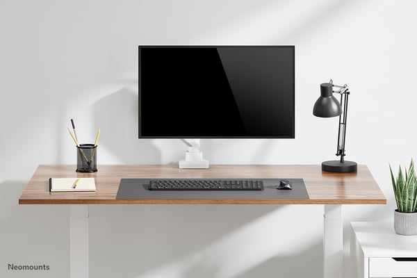 Neomounts DS70-450WH1 monitorin kiinnike ja jalusta 106,7 cm (42") Vastaanotto Valkoinen