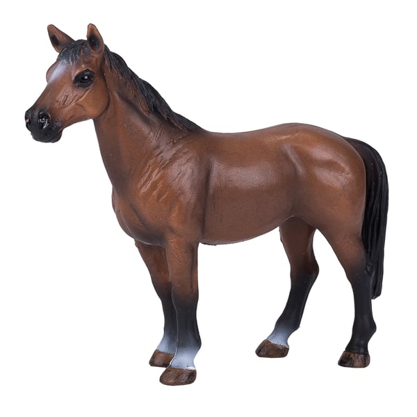 Mojo Fun Trakehner (Portugal)