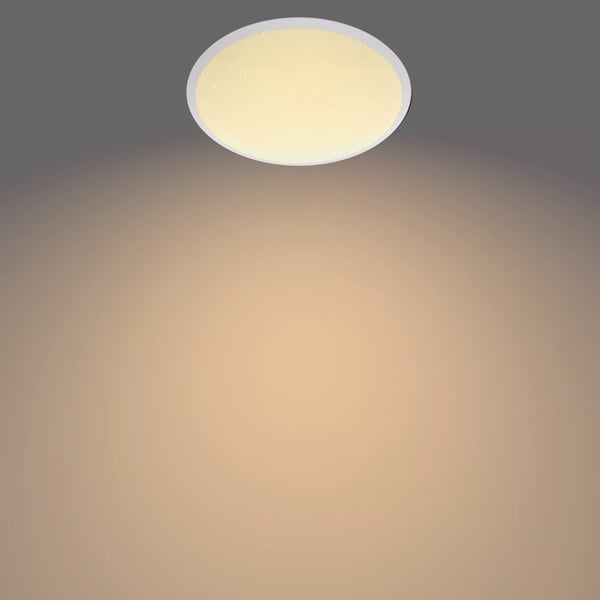 Philips Funktionel Canaval loftslampe, 12 W